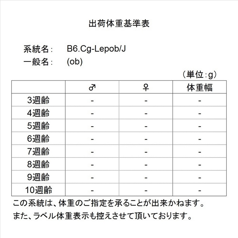 ob ob/obメス5W-8W