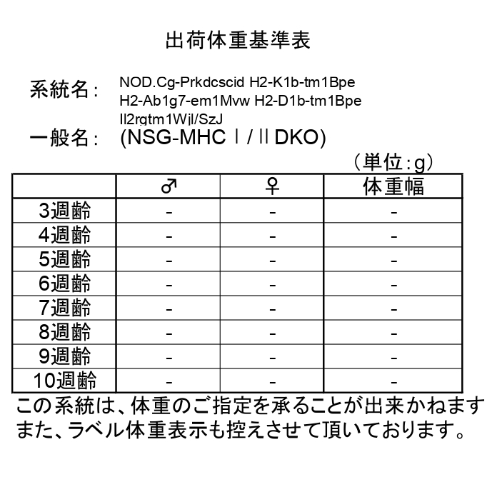 NSG-MHC I/II DKO オス  4W-8W